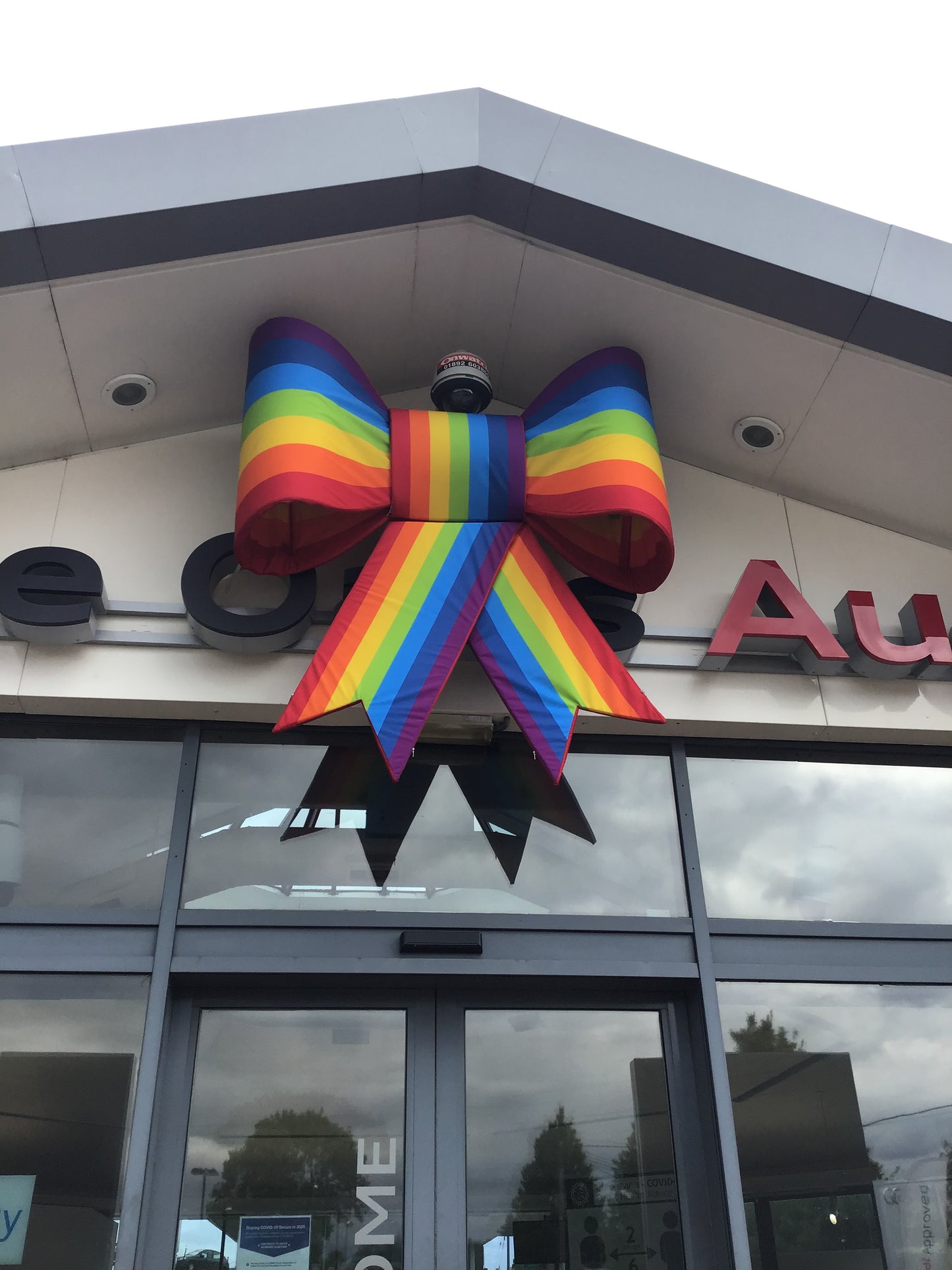 The Bespoke Bow Collection – The Big Bow Company