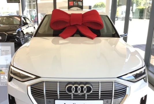 The Car Bow Collection – The Big Bow Company